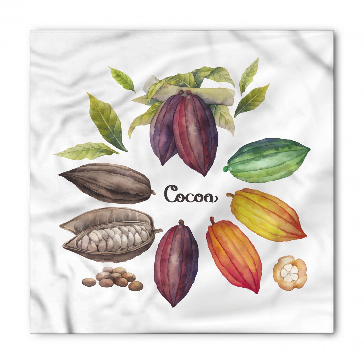 Семейство бобовые (Fabaceae)