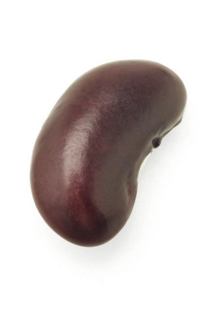 Соя щетинистая