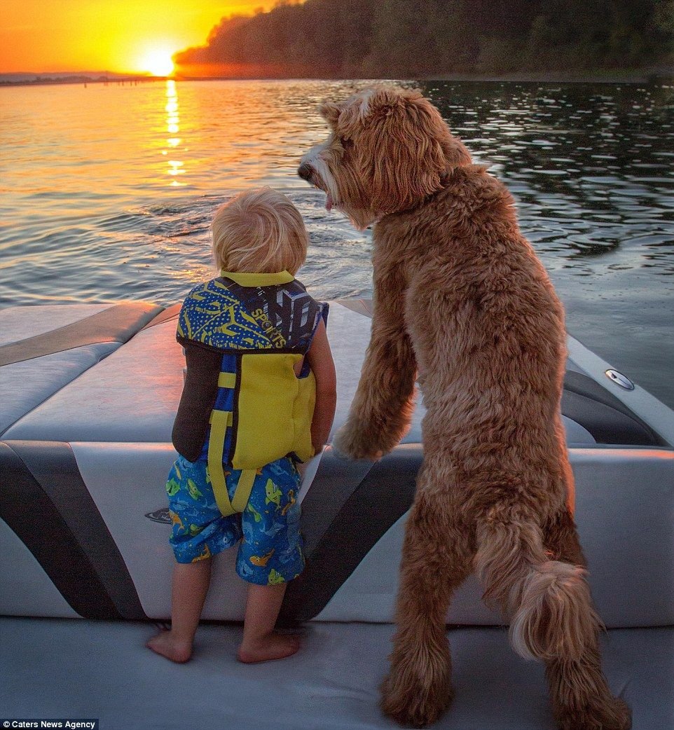 Дружба картинки для детей