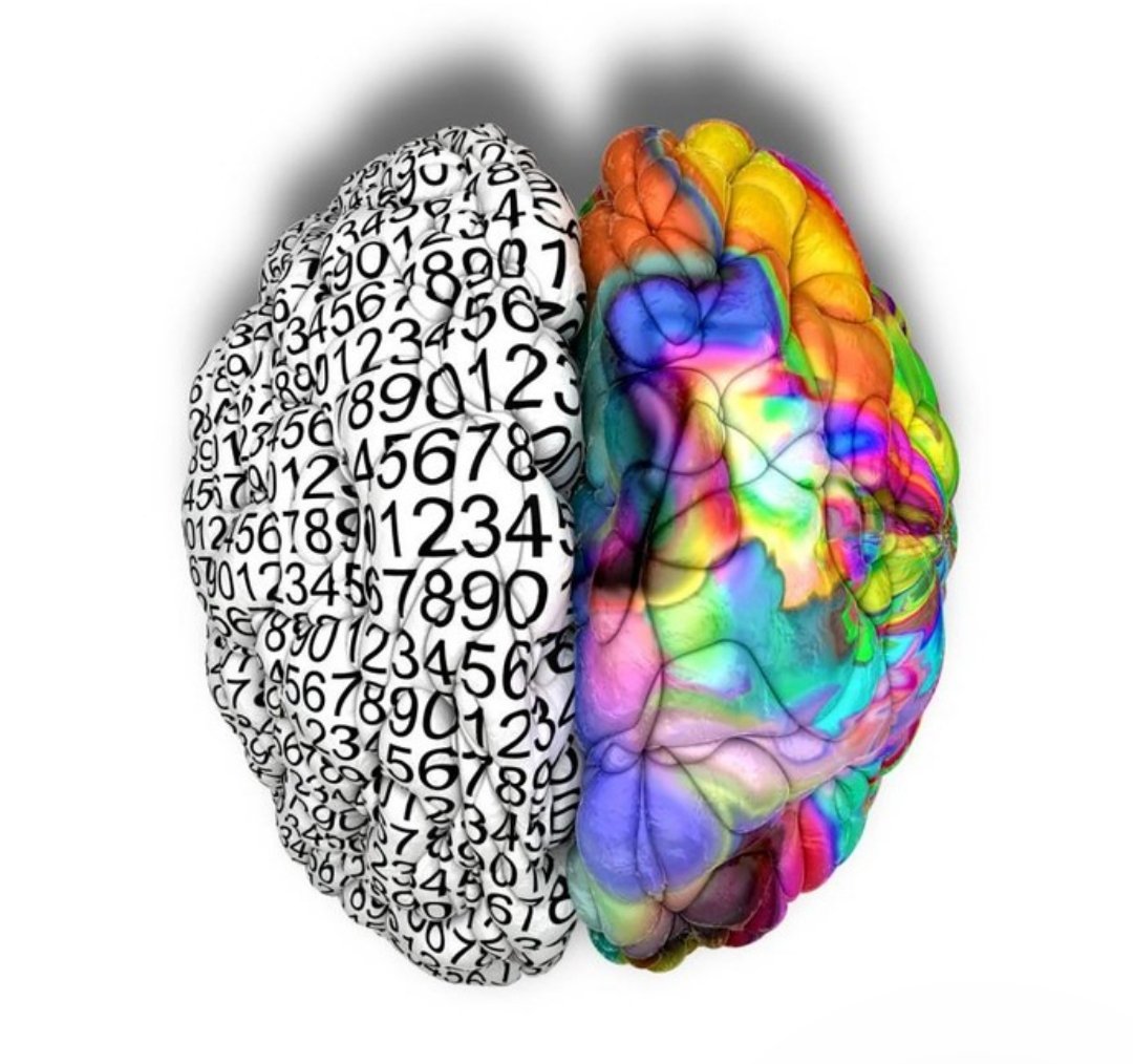 Разные полушария мозга