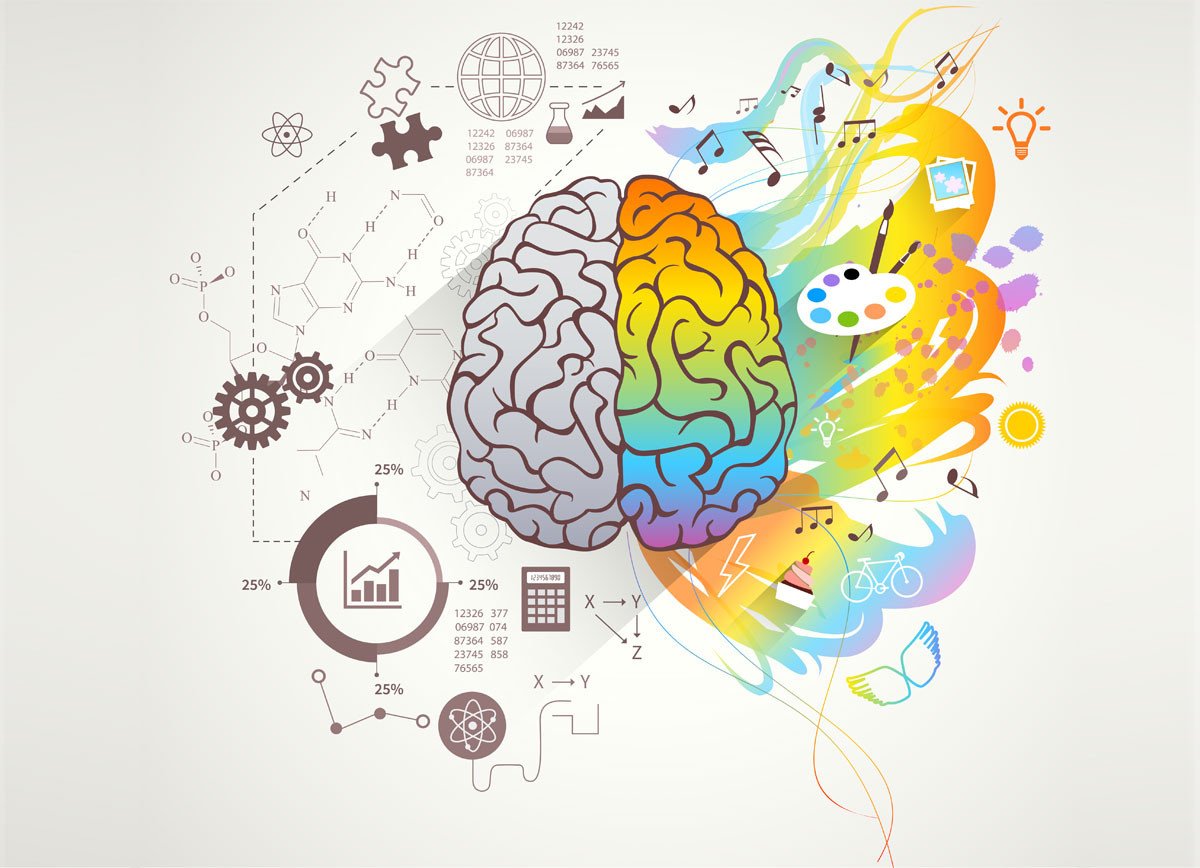 Активность мозга