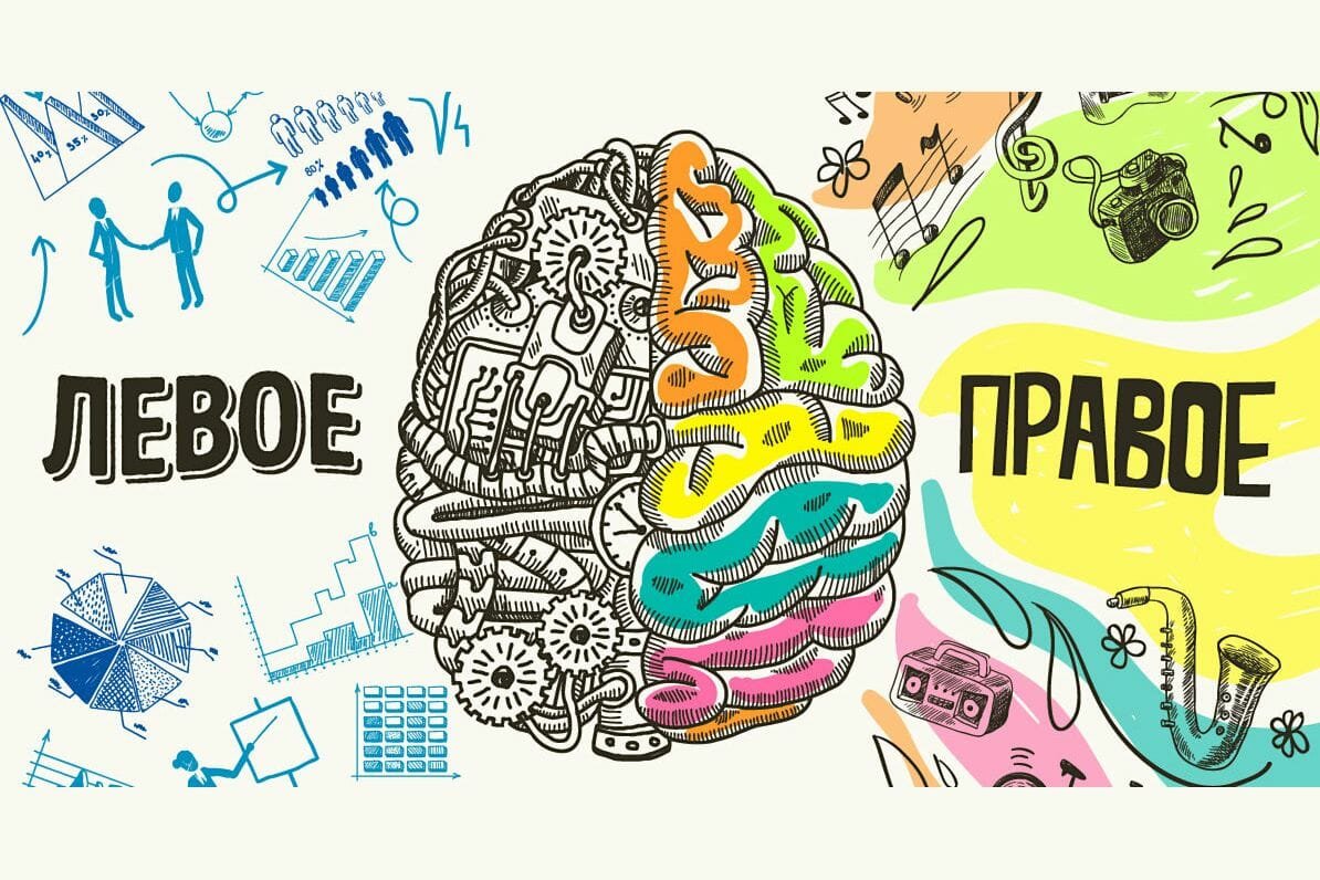 Правое полушарие