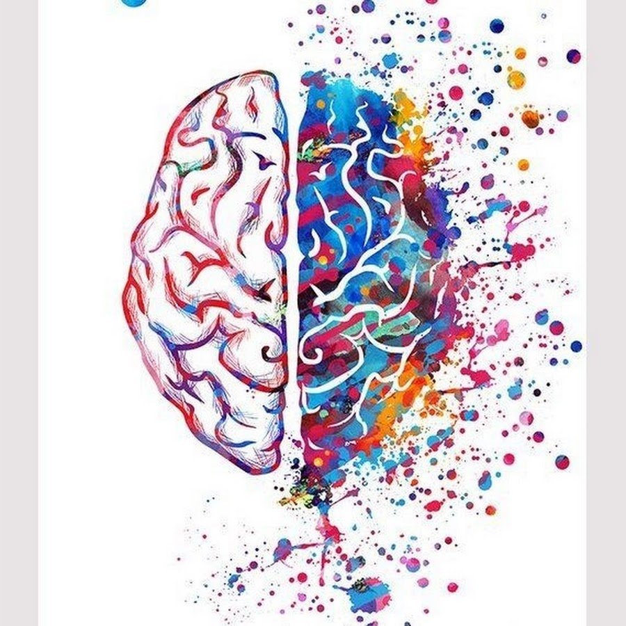 Левое полушарие мозга