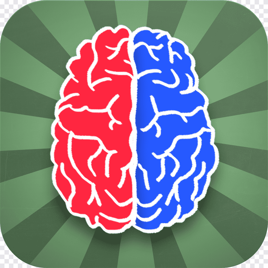 Два полушария мозга