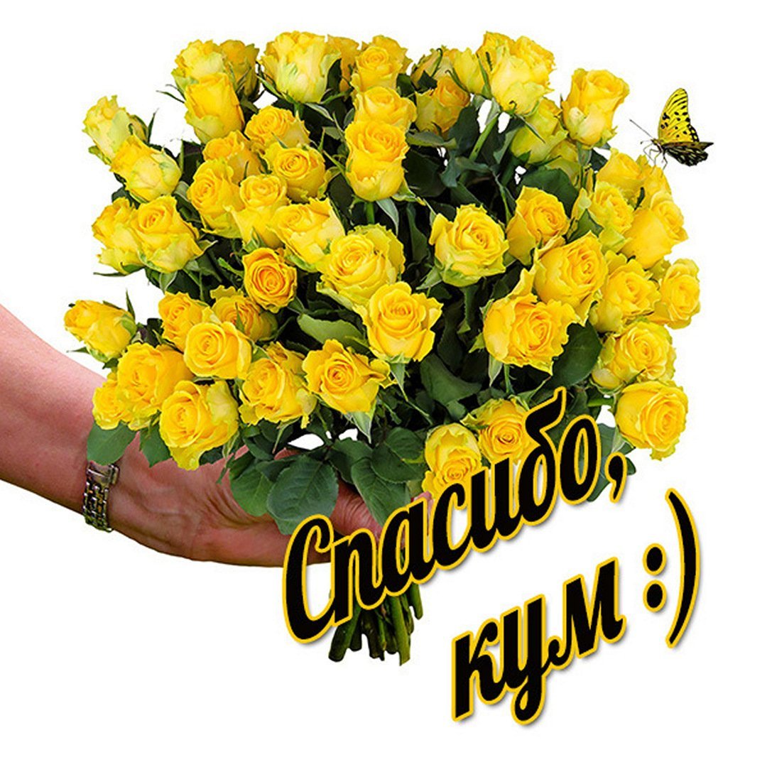 Спасибо от души