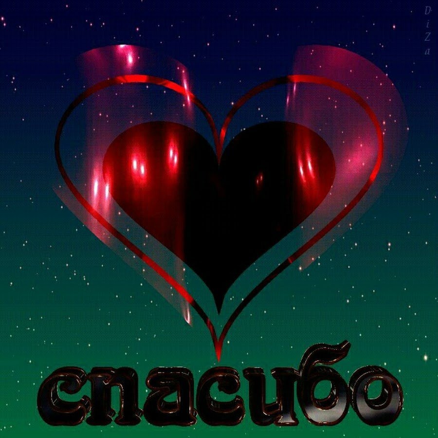 Спасибо за внимание гиф