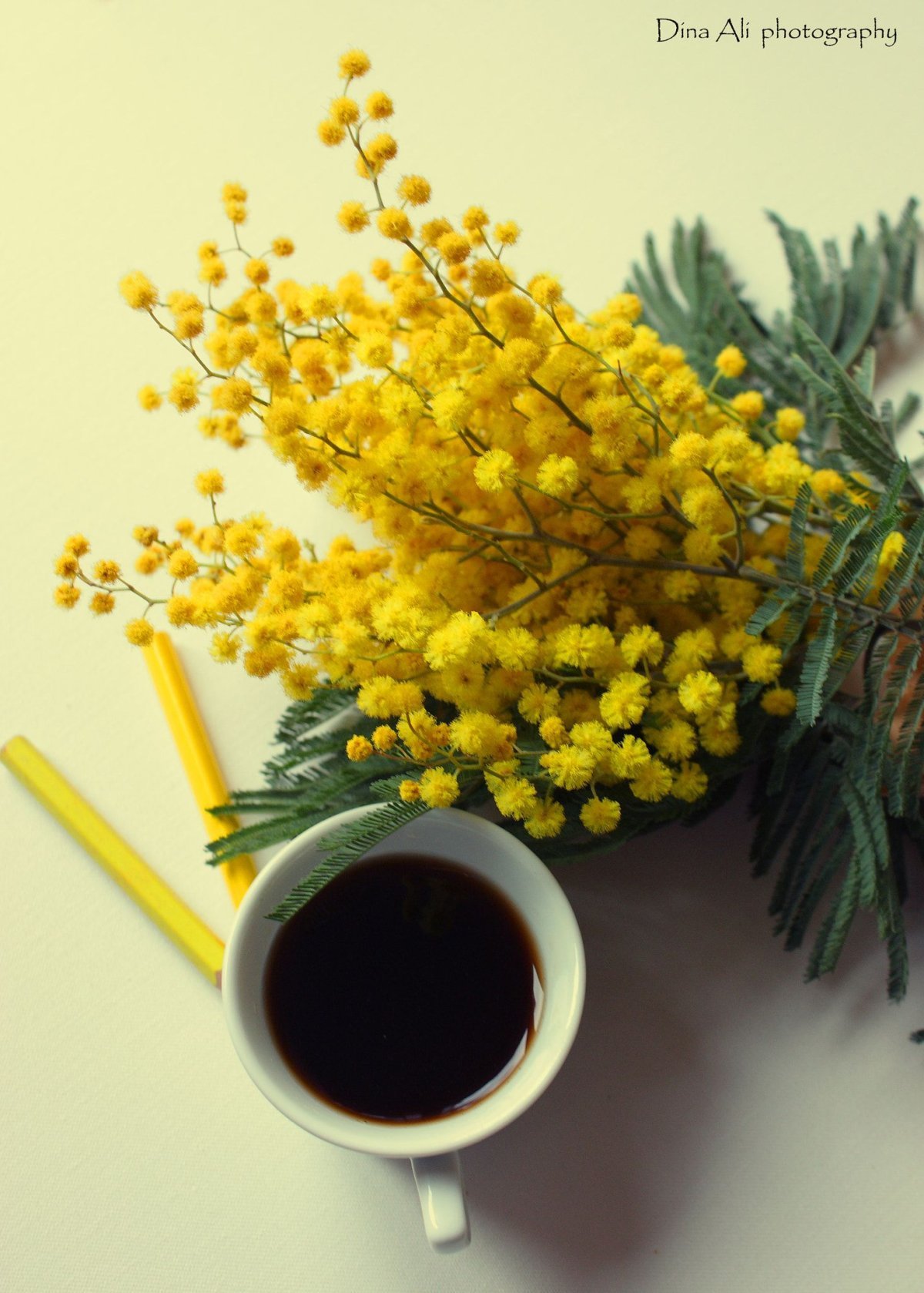 Мимоза и чай