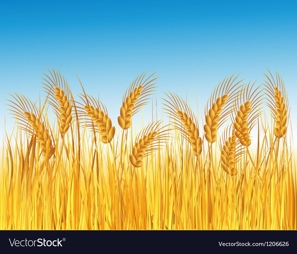 Led телевизор Polarline 43 pl 52 TC-SM