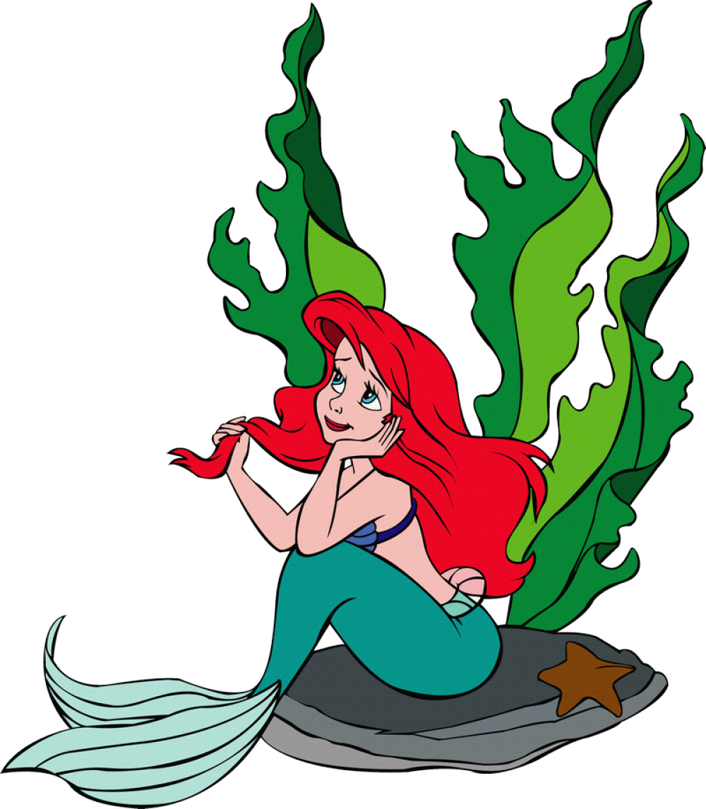 Флаумбер Себастьян Ариэль