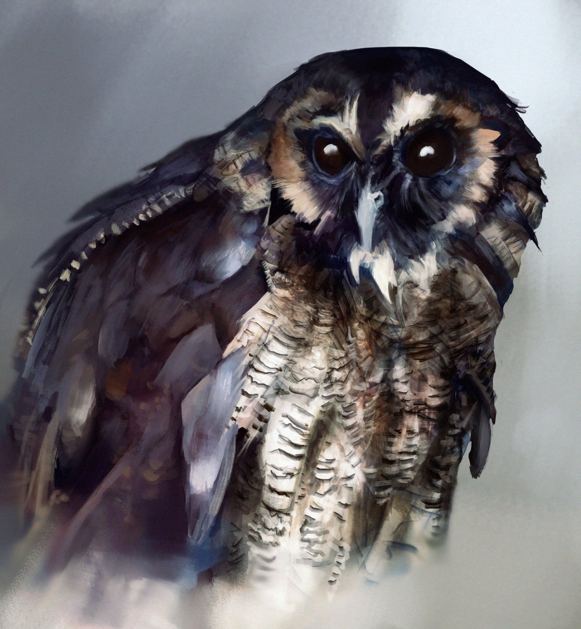 Сова без перьев фото
