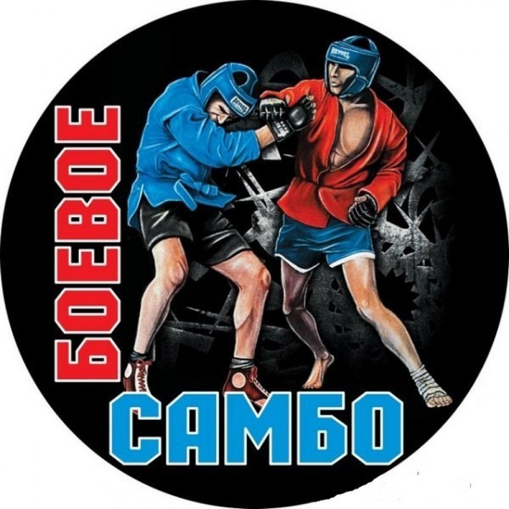 Самбо борьба