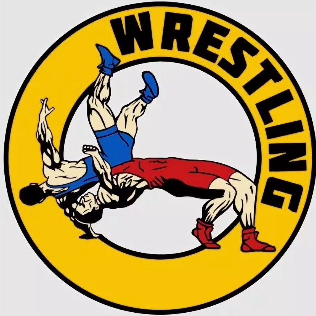 Логотип самбо дзюдо