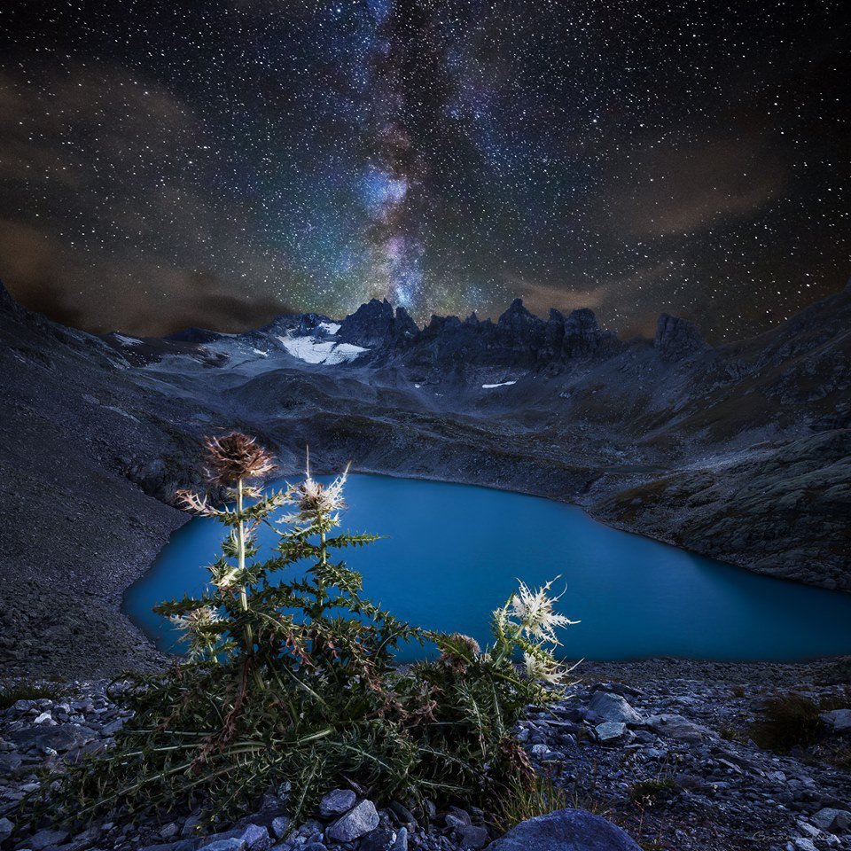 Милые иллюстрации снов