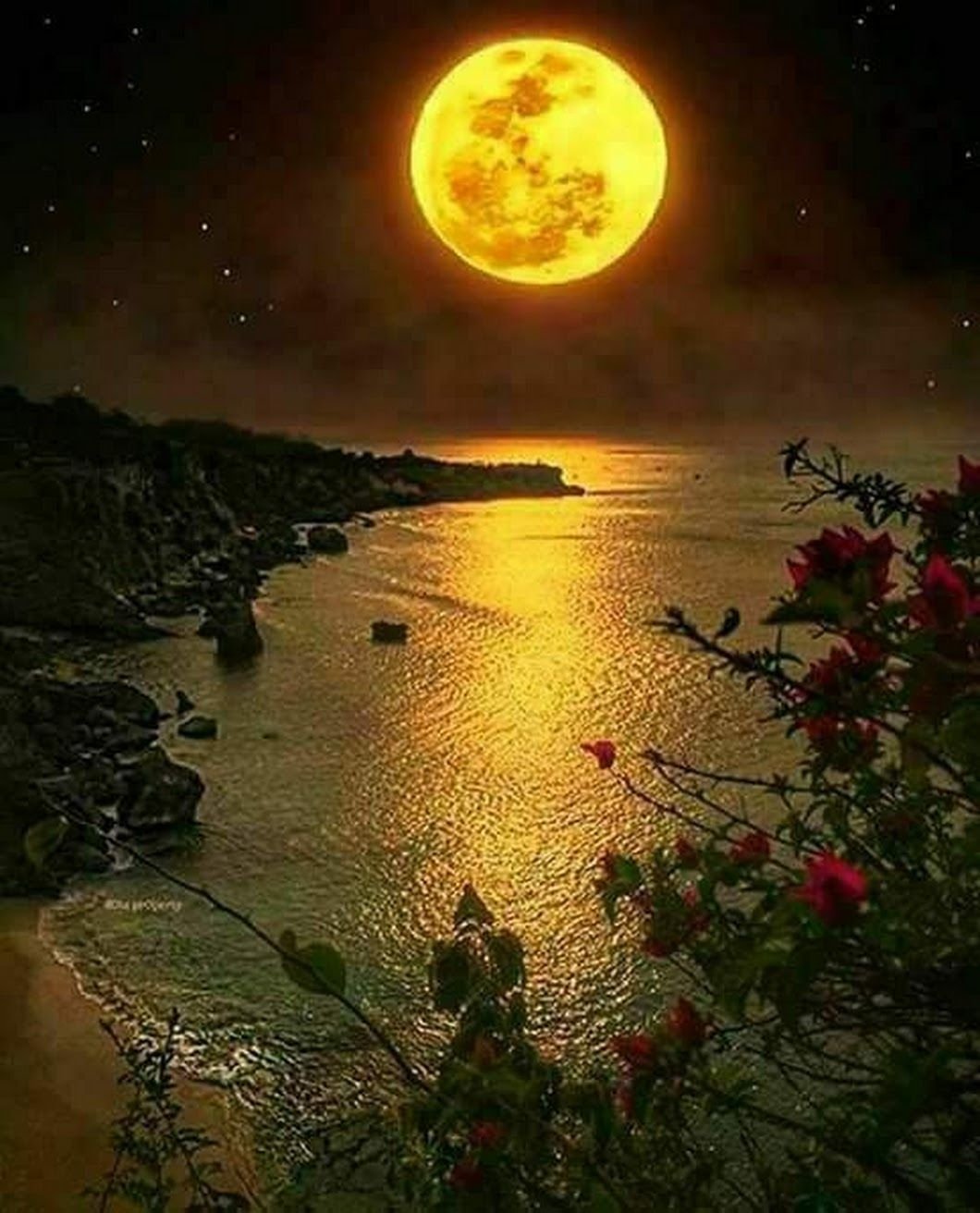 Спокойной ночи осень