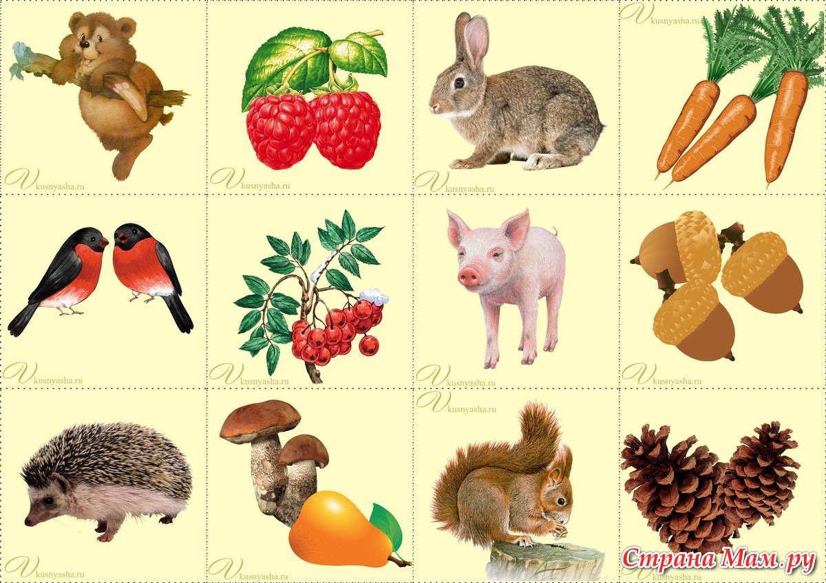 Кто чем питается