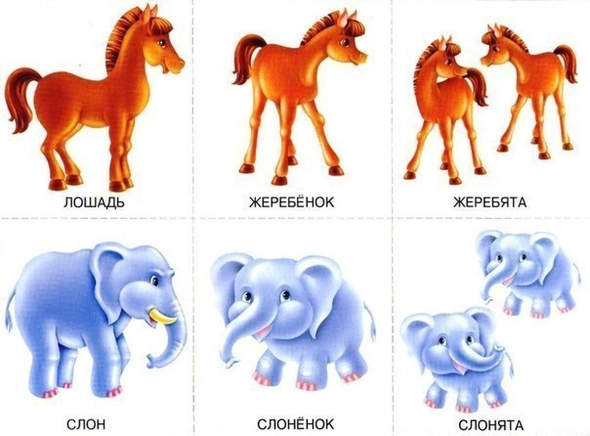 Карточки домашних животных мамы и их Детеныши для детей