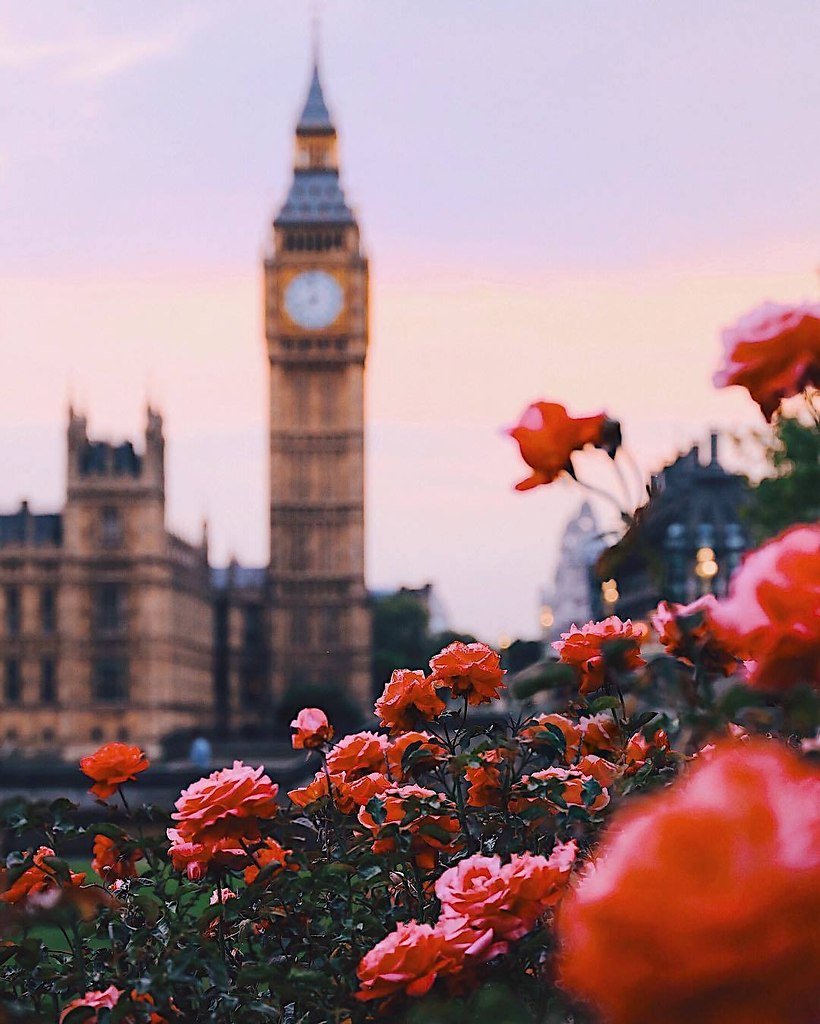 Черно белый город