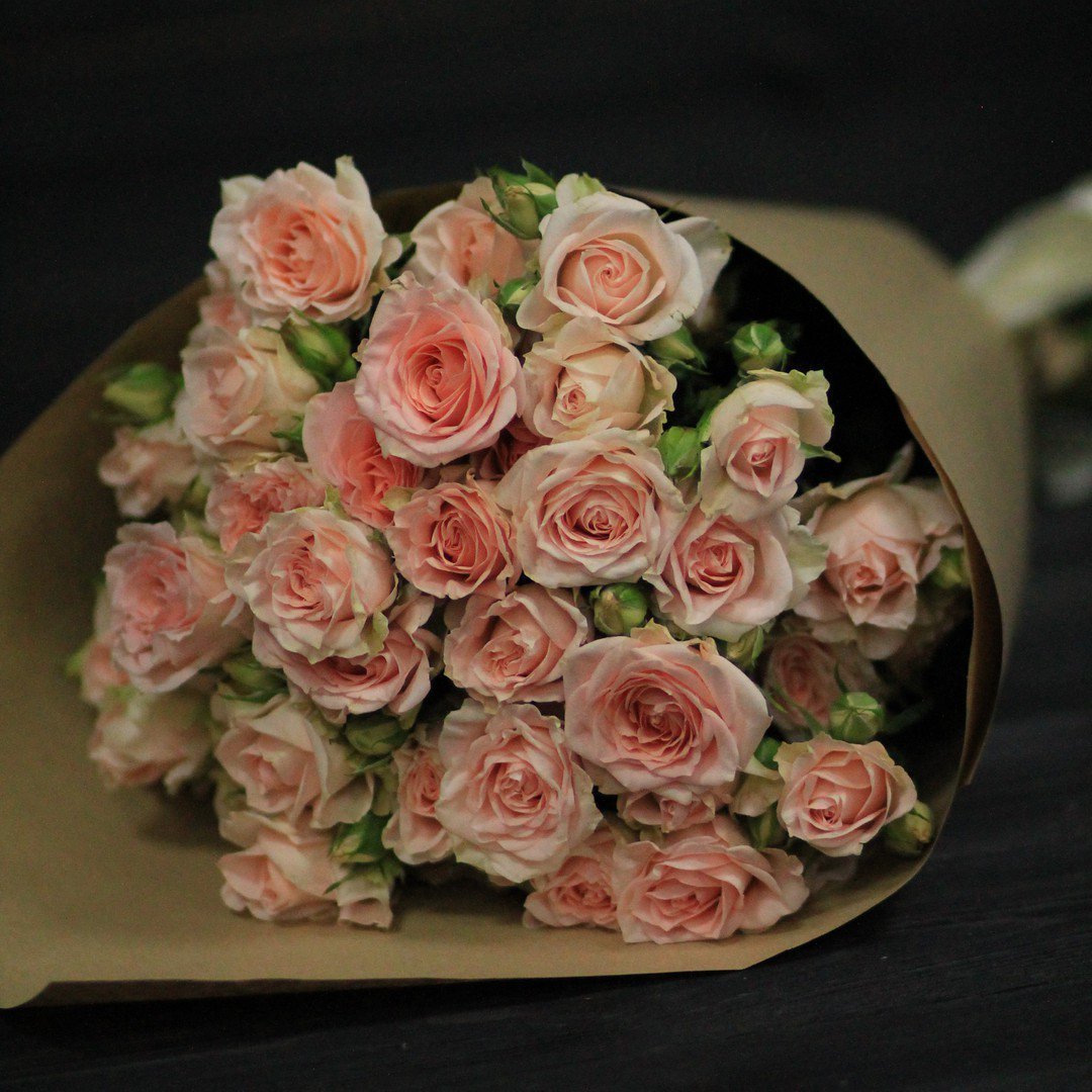 Роза кустовая Смэшинг