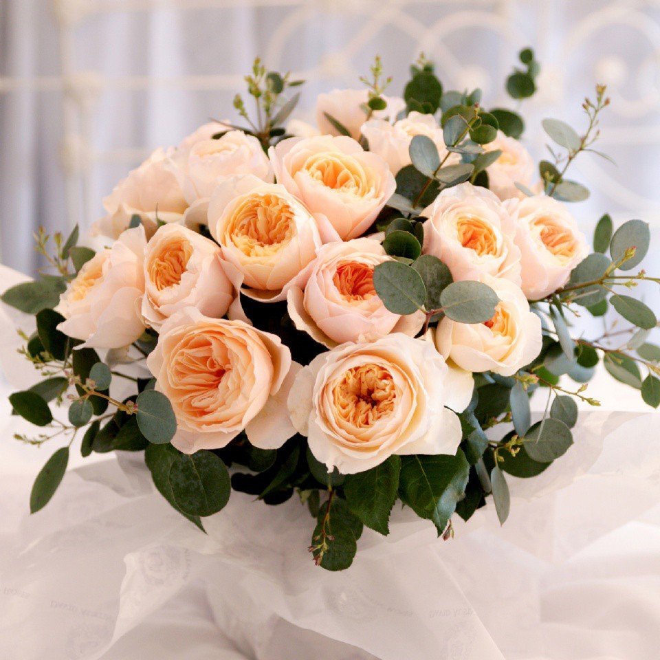 Роза солиста оранжевая