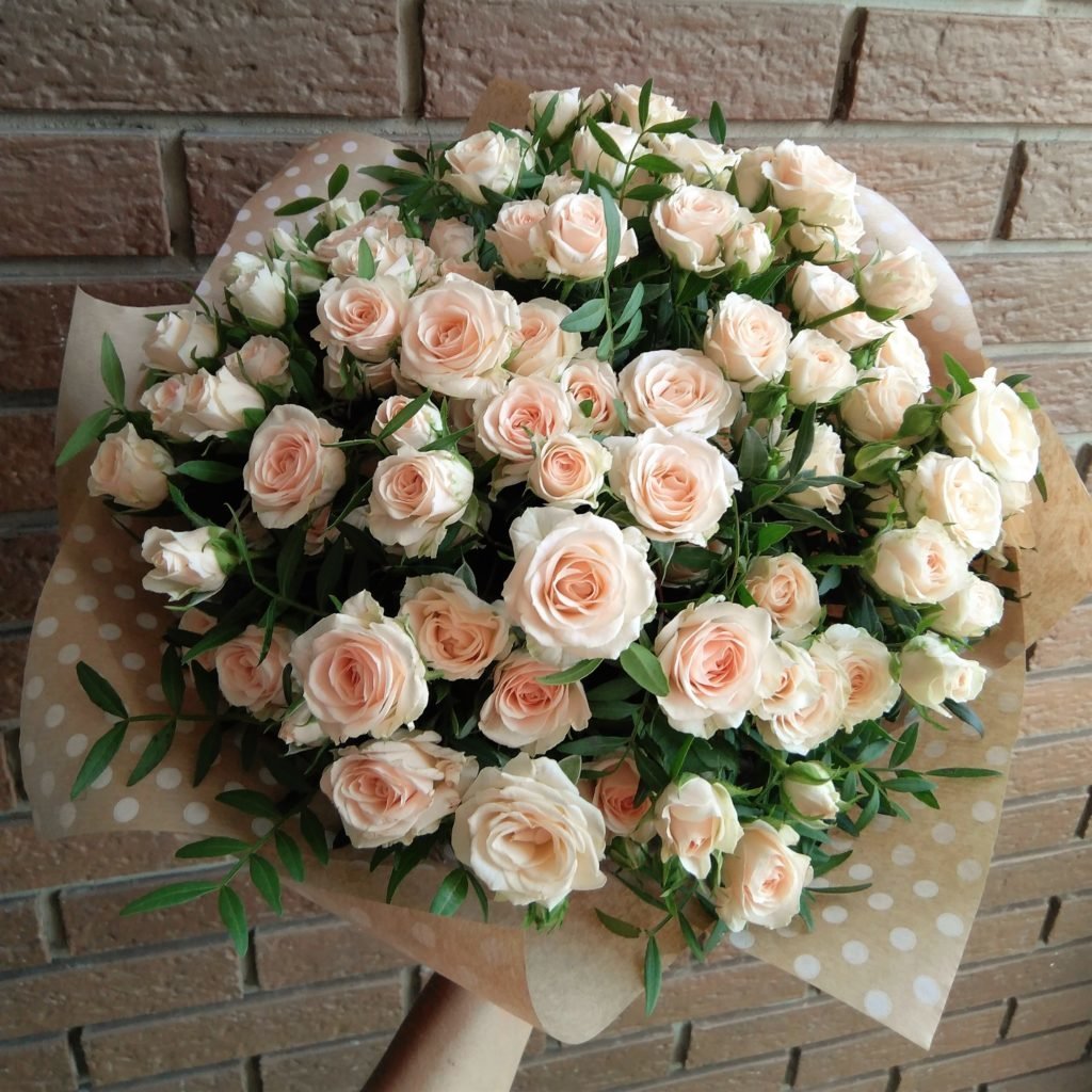 Роза Пич Морн