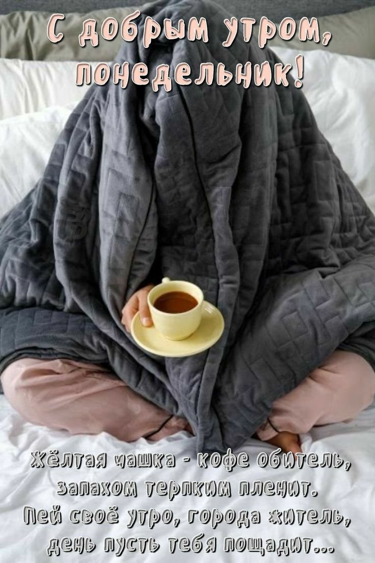 Доброе утро под одеялом
