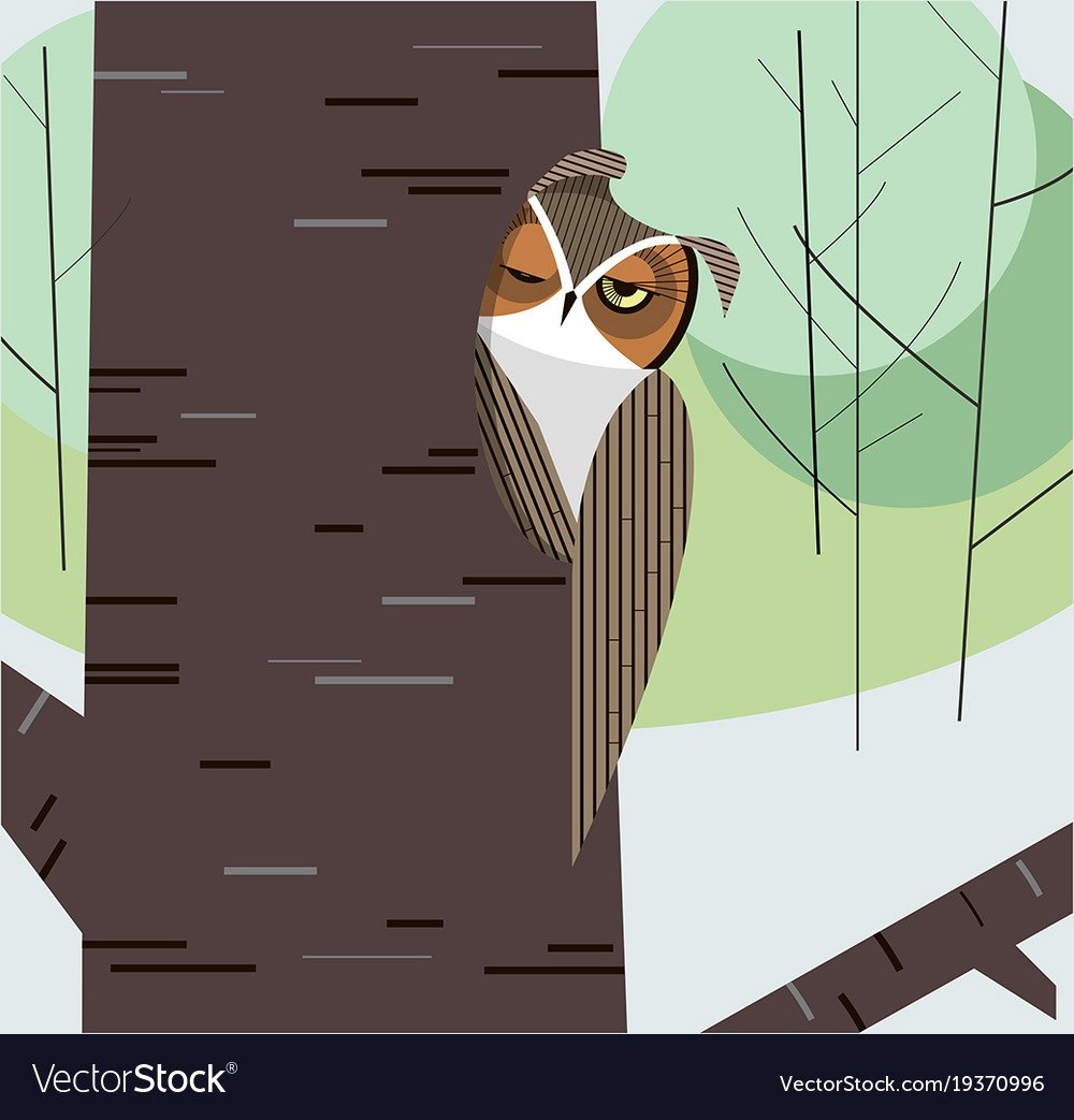 Лягушки в дуплах деревьях