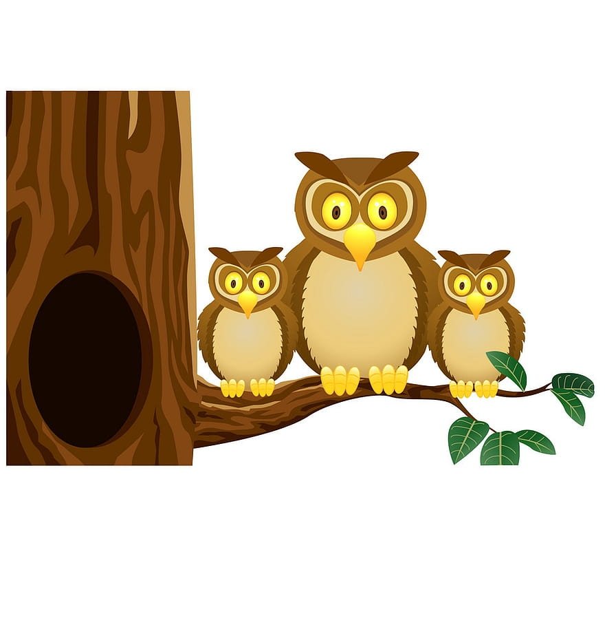 Совы мультяшные на дереве