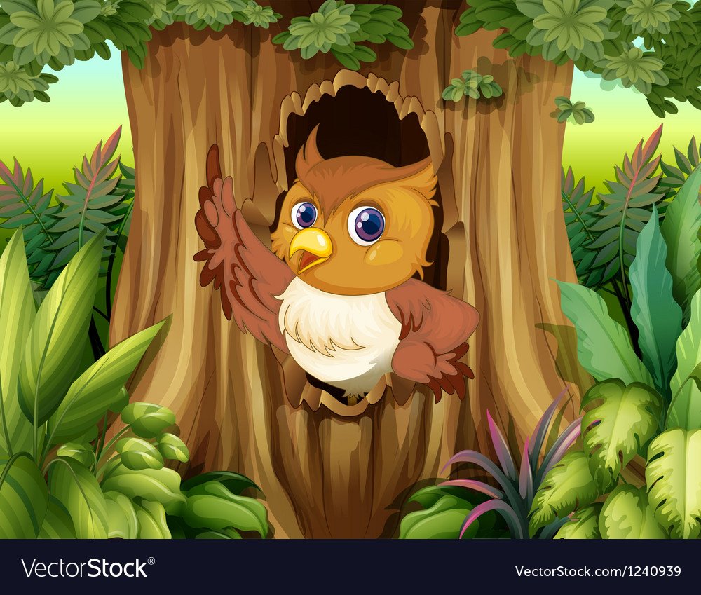 Дупло совы картинка