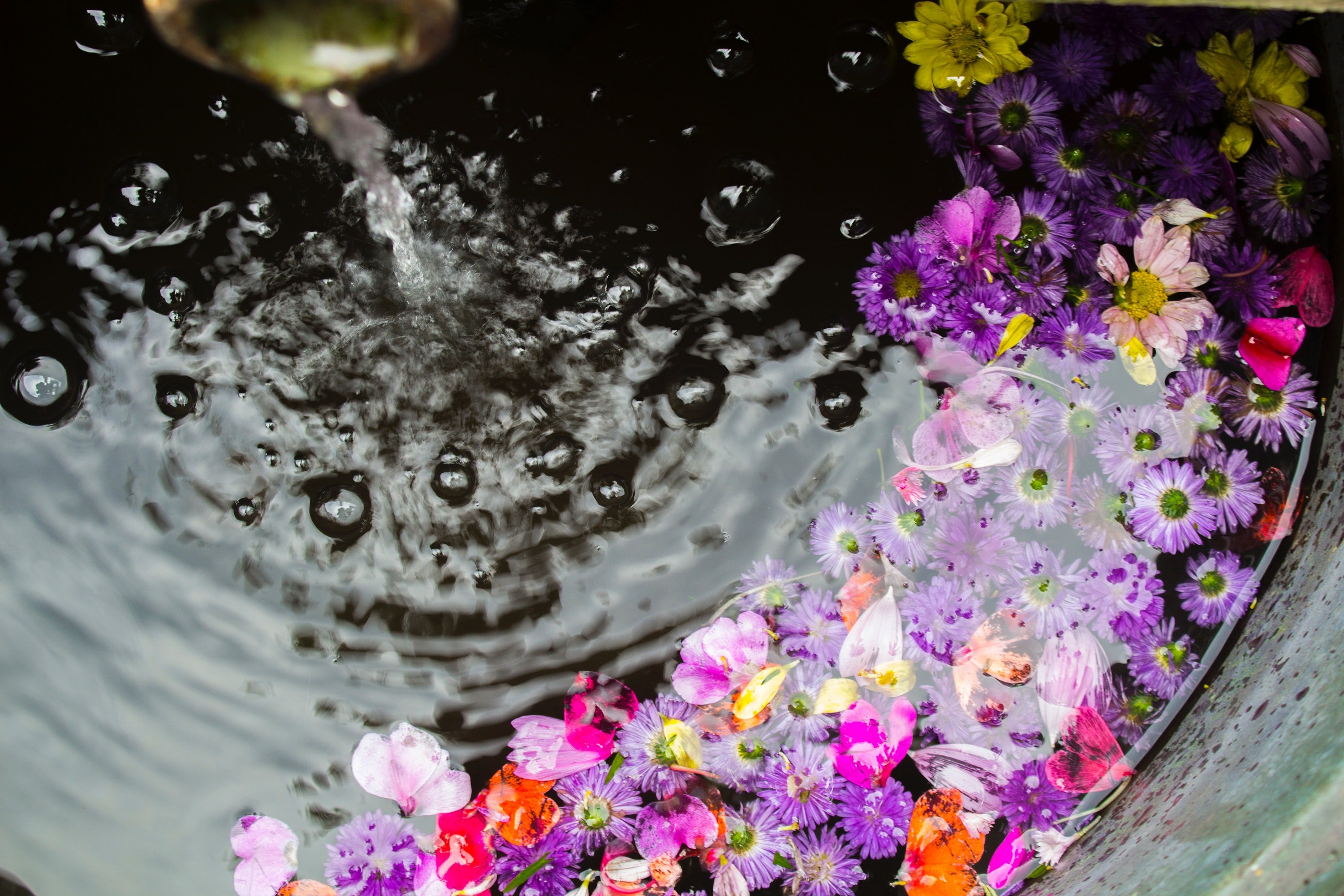 The flowers to water every day. Цветы на воде. Лепестки цветов на воде. Красивый цветочек в воде. Цвет Ына вроде.