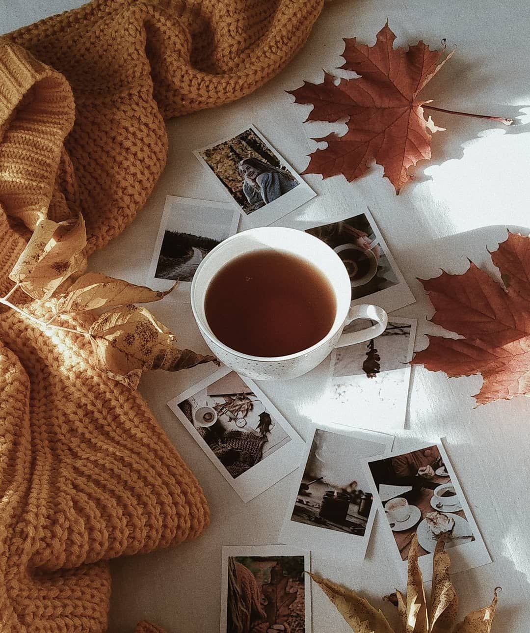 Эстетика коричневого и бежевого