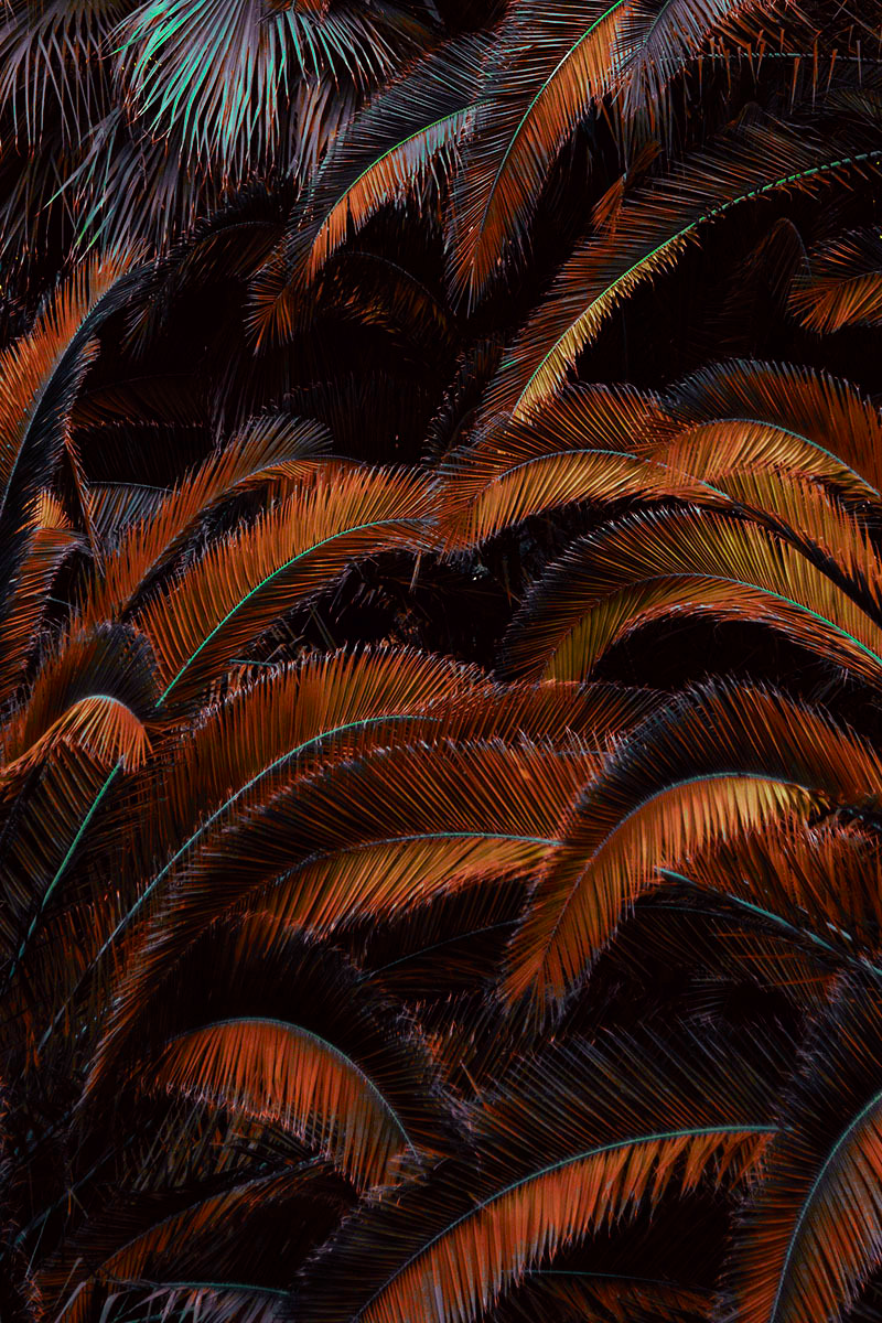 Эстетичная осень