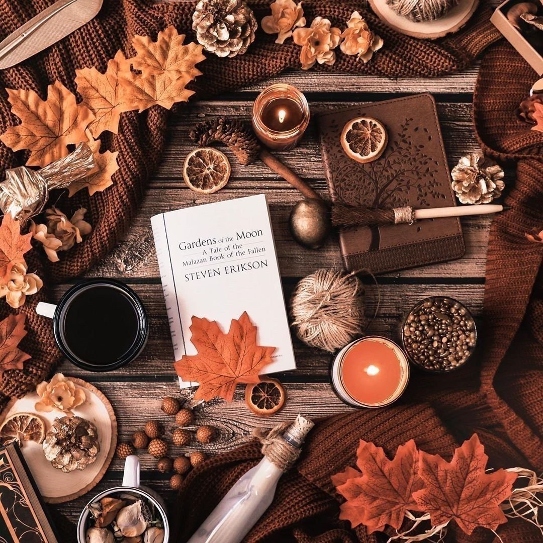 Осень Эстетика