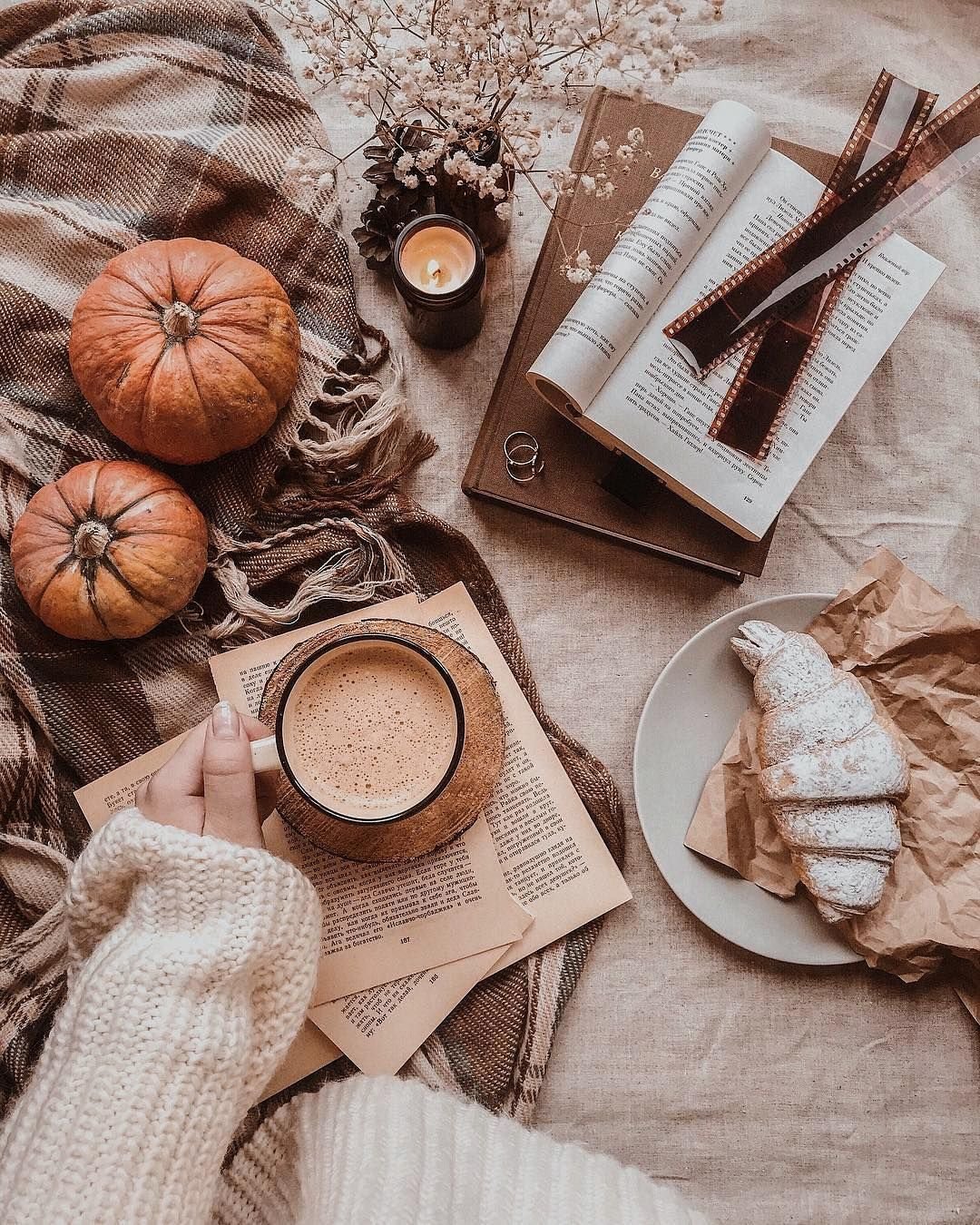 Эстетика коричневого и бежевого