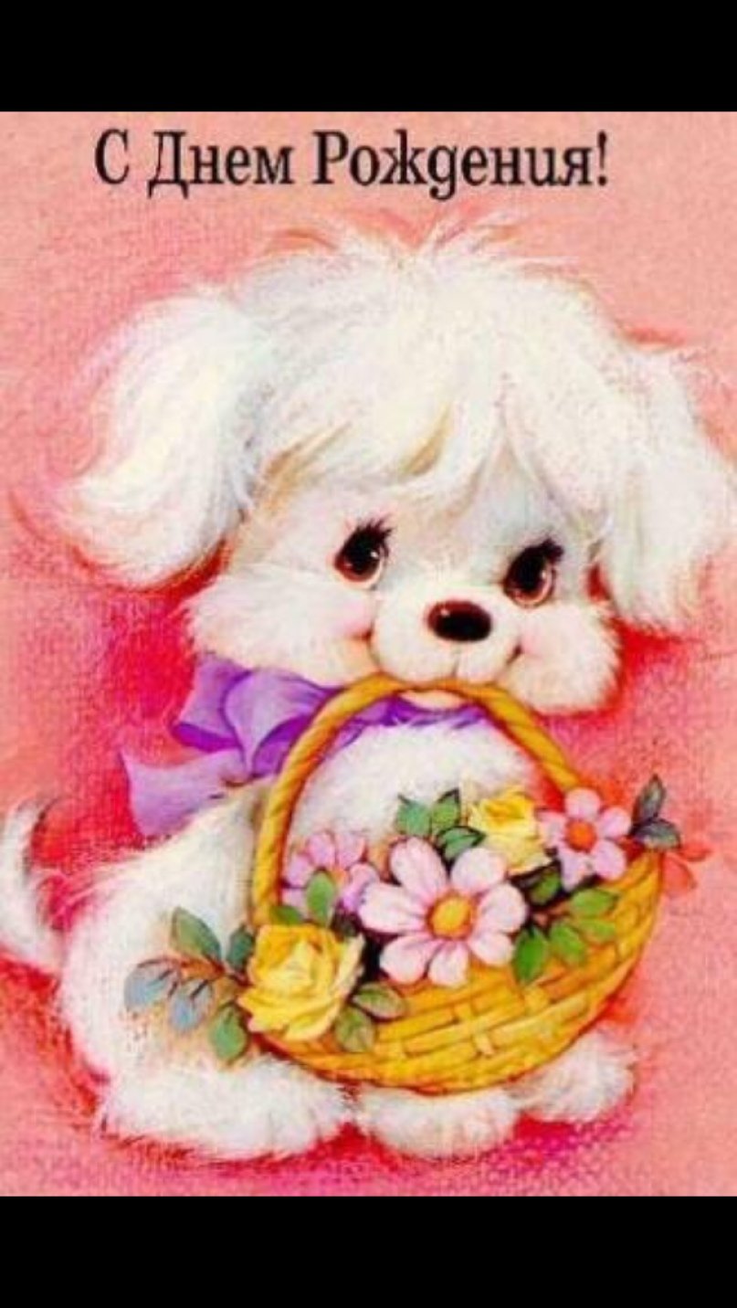 С днём рождения милые