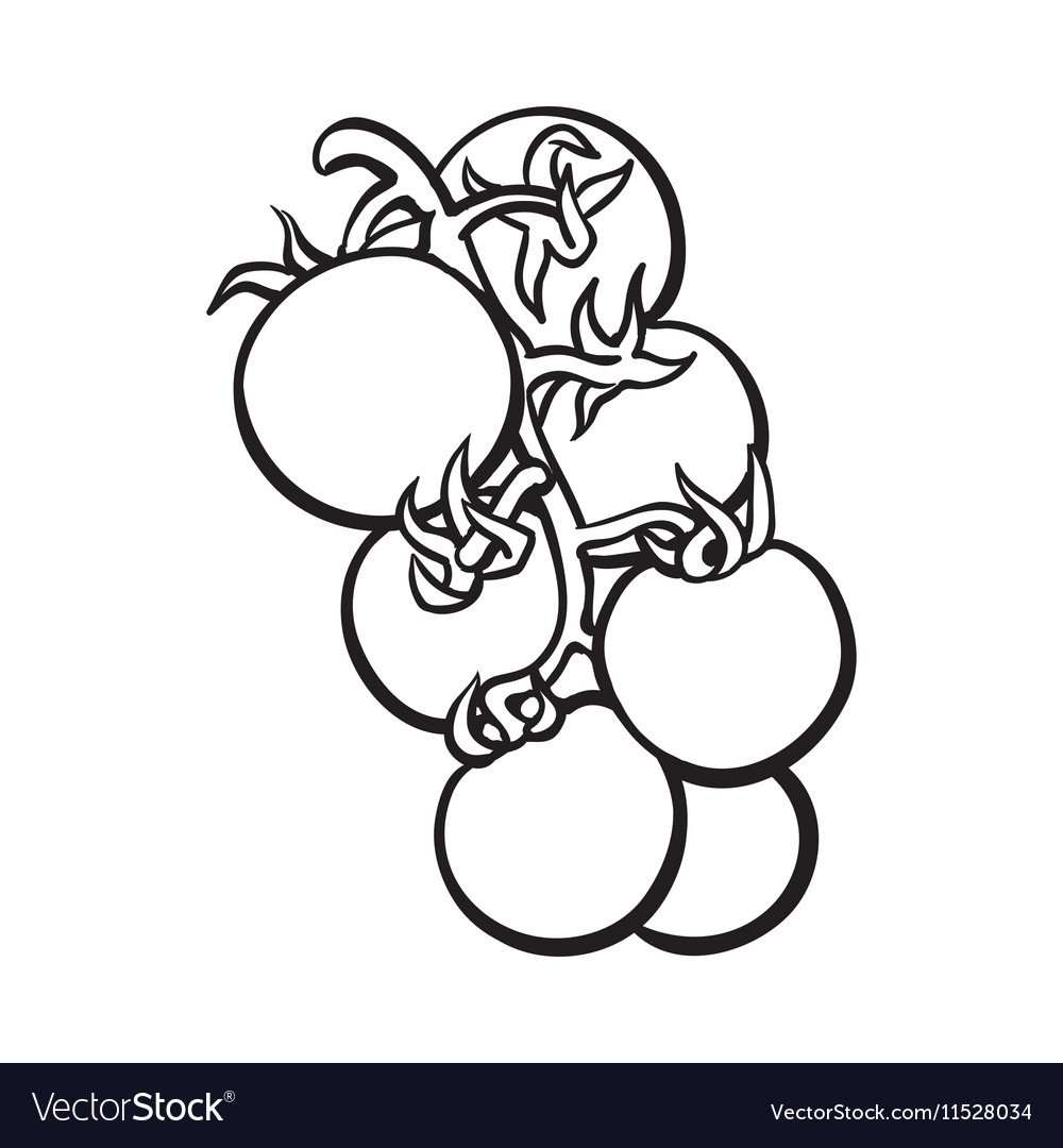 Контур овощей помидоры