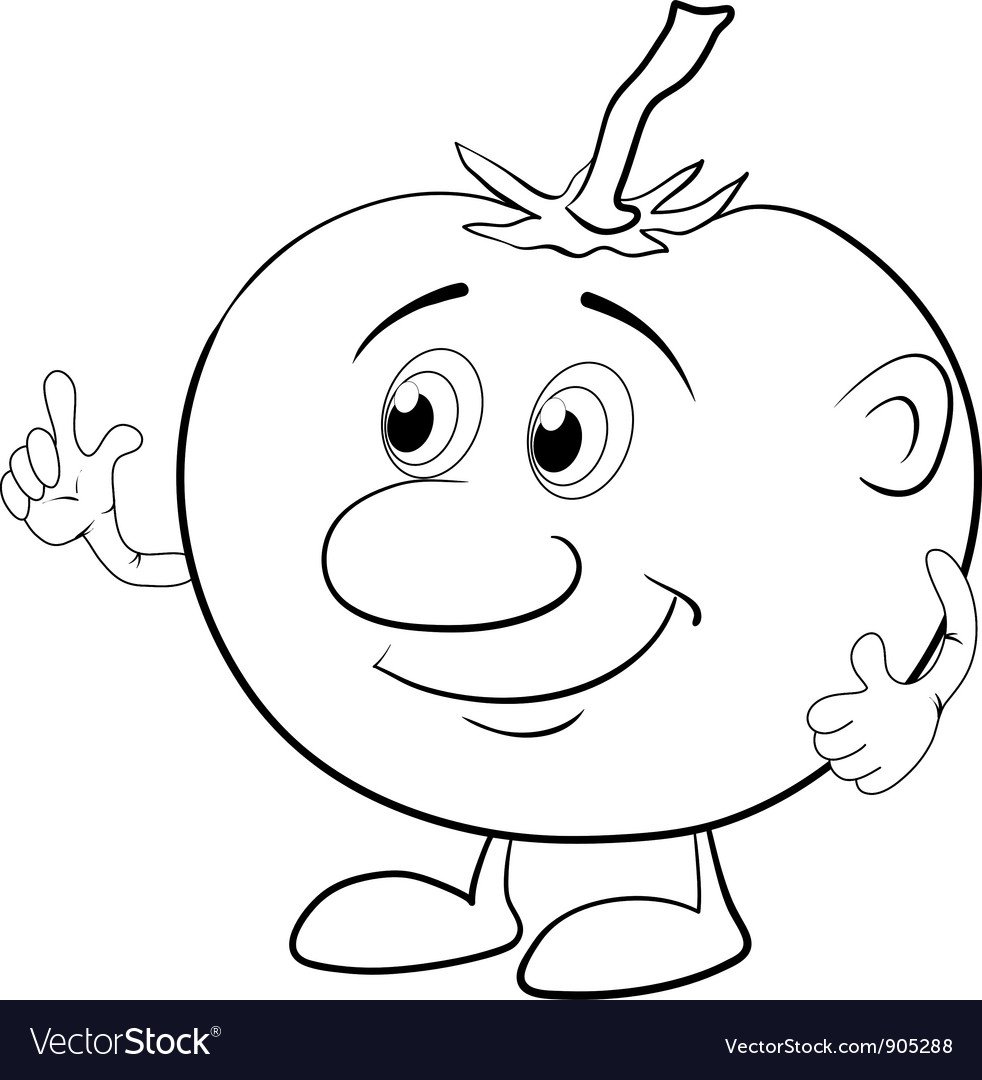 Эскиз томата