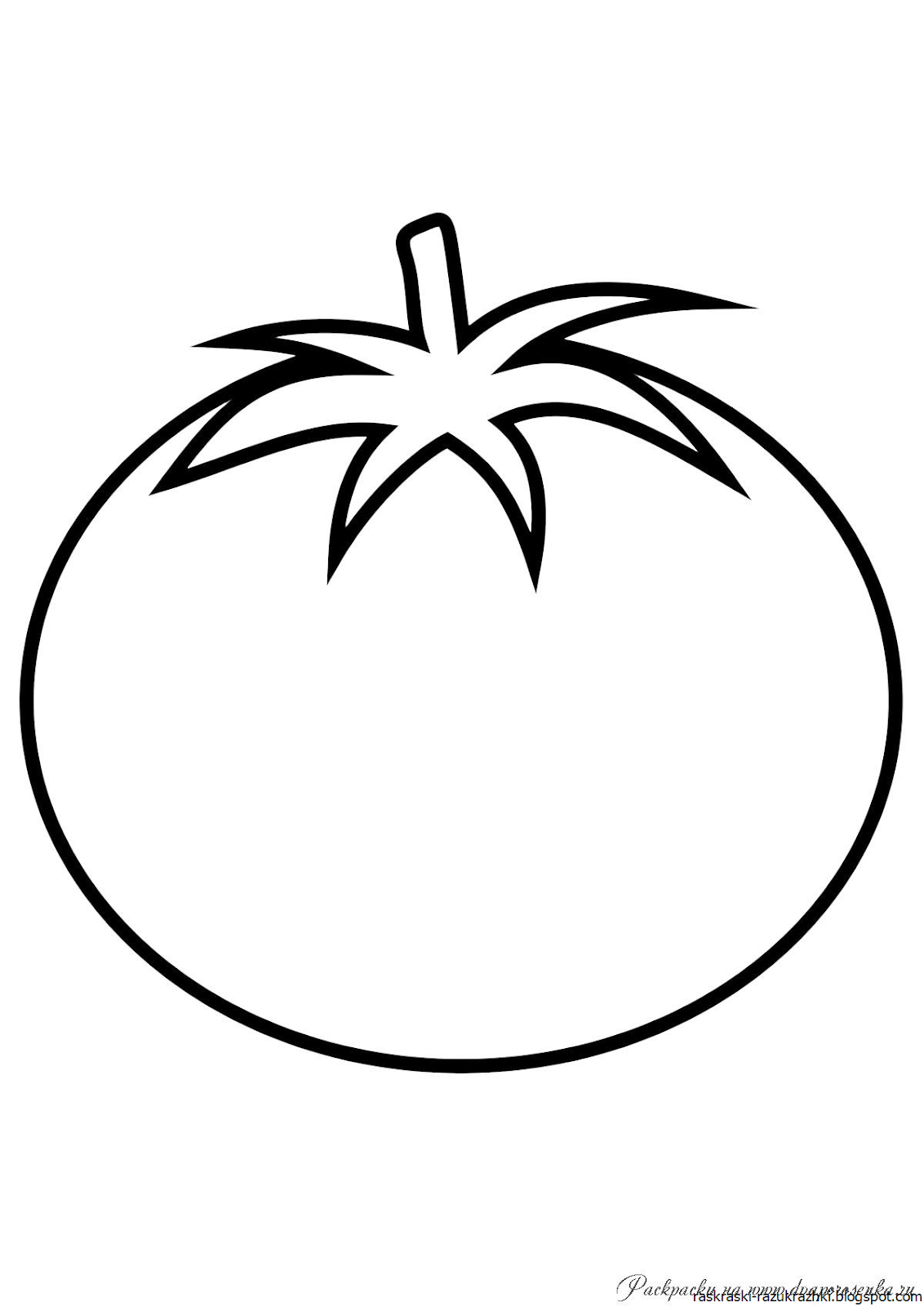 Помидор вектор