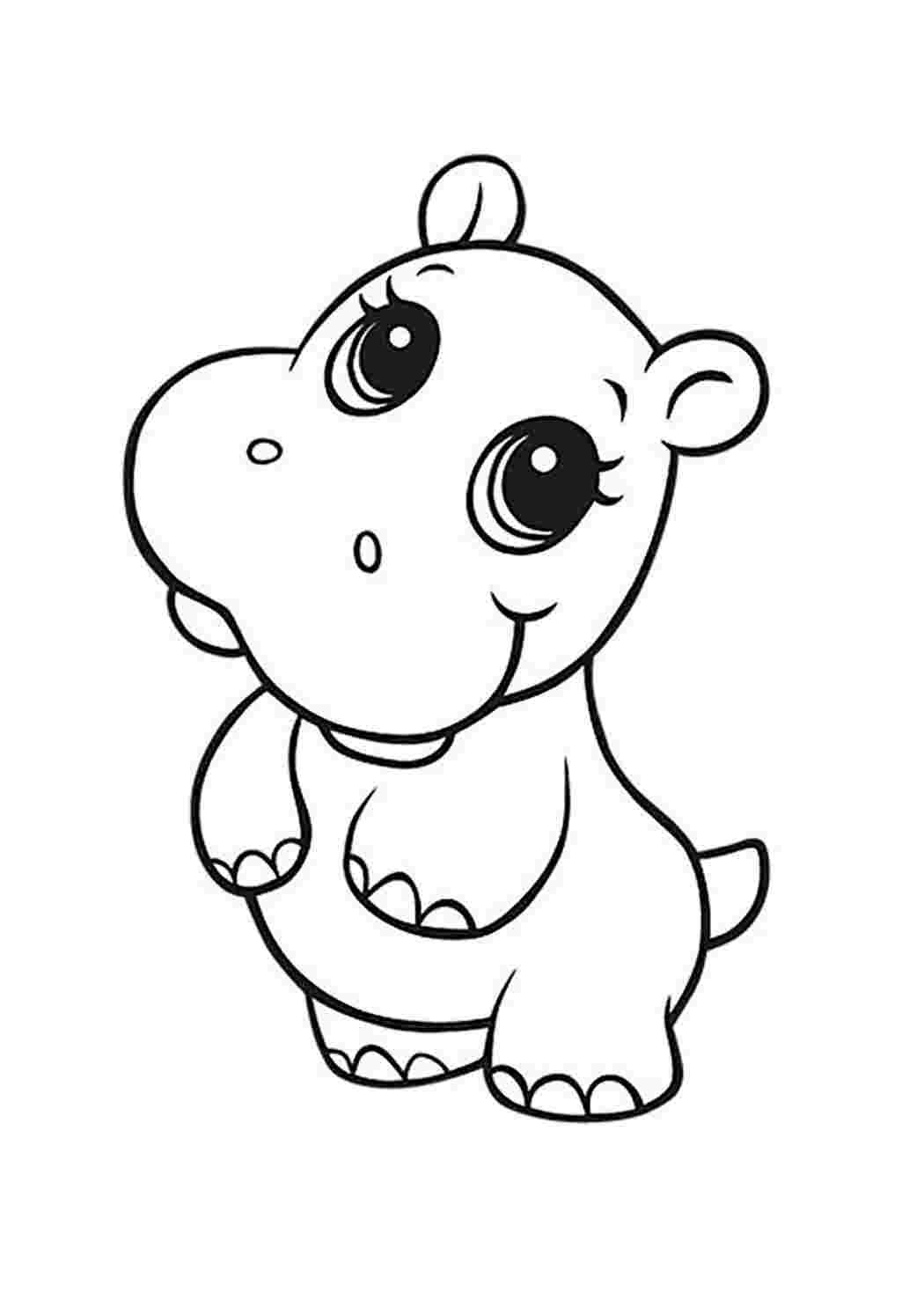 Бегемот раскраска