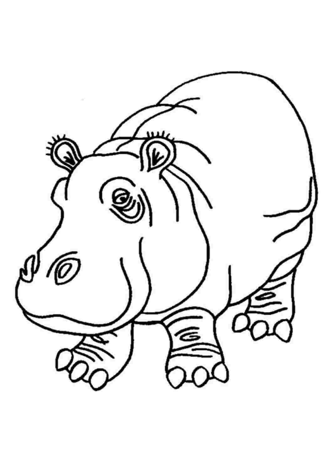 Раскраска малышам "Бегемотик"