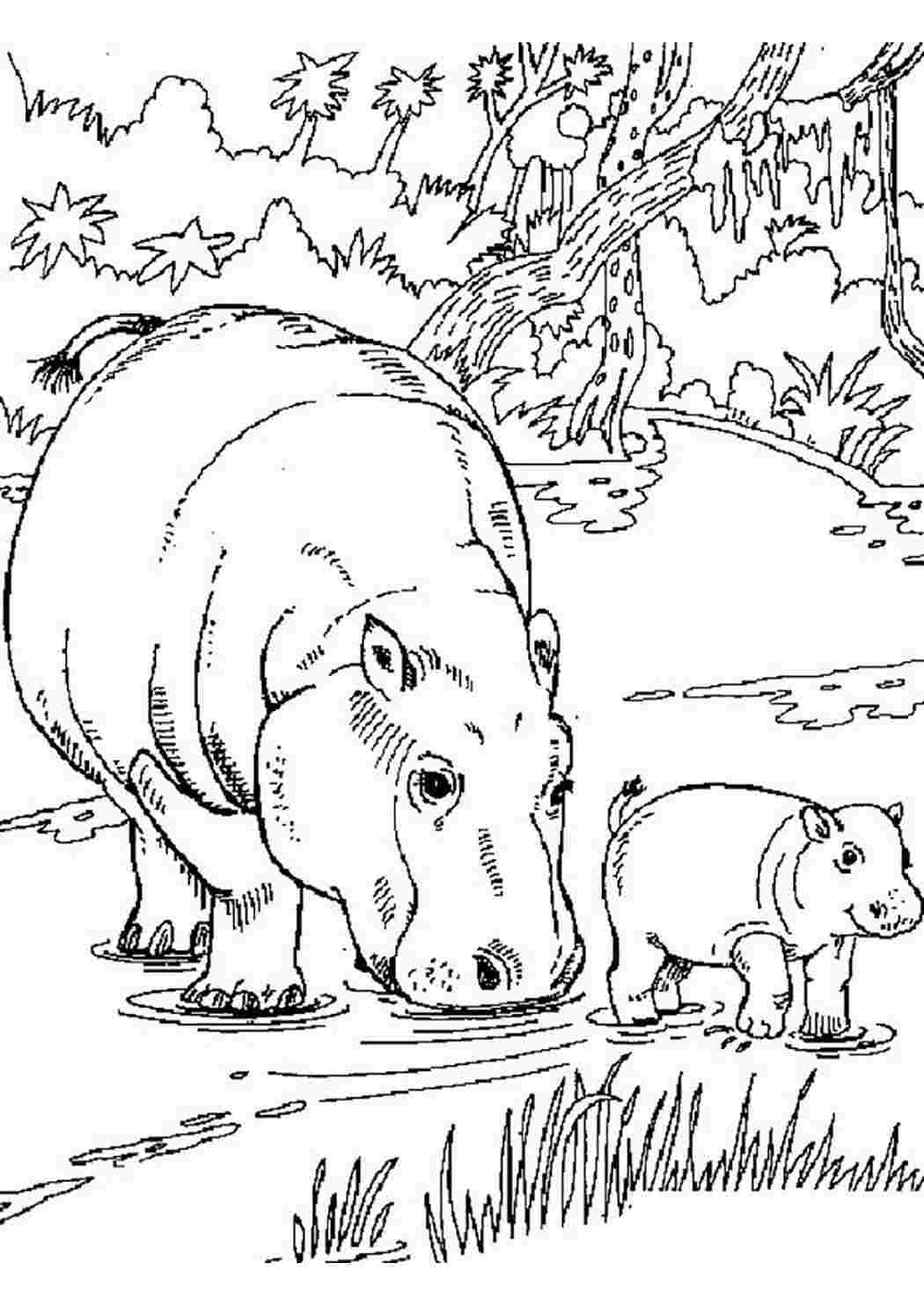 Раскраска малышам "Бегемотик"