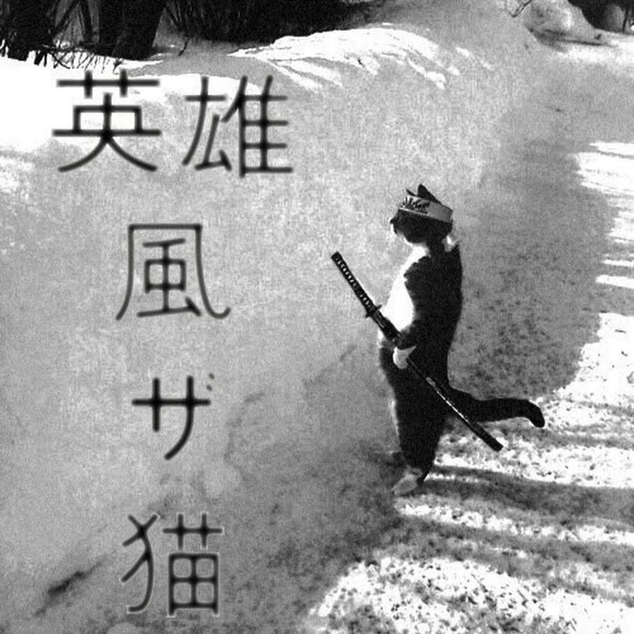 Коты Самураи Мем