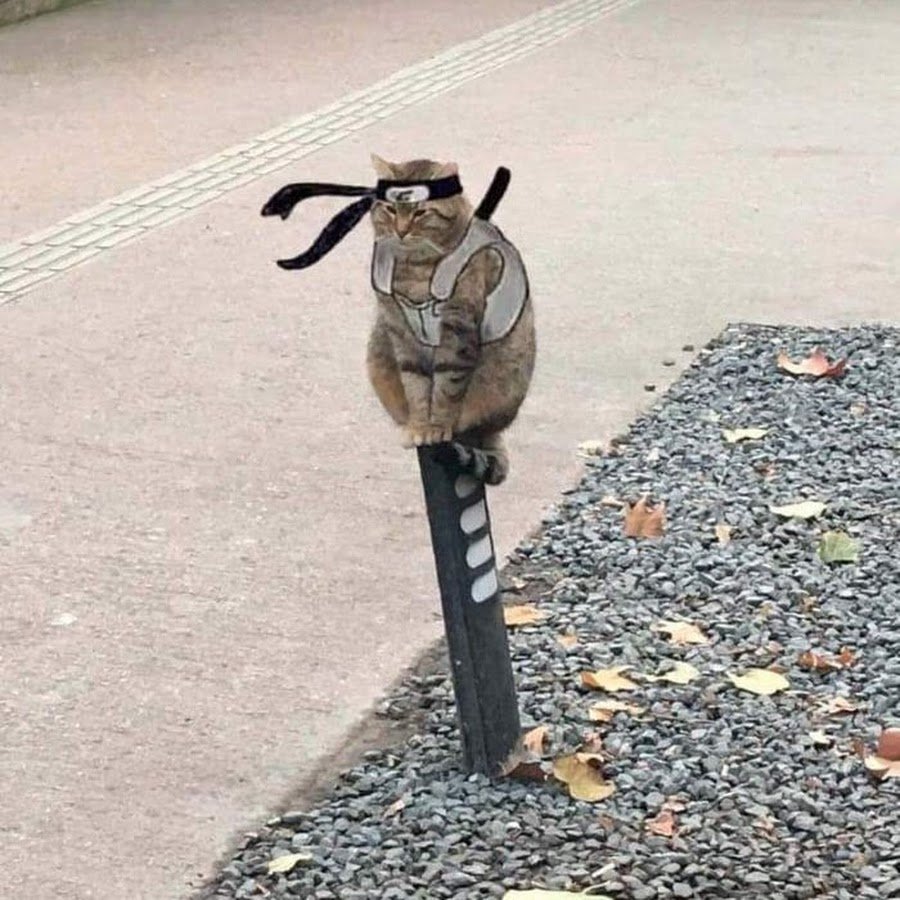 У самурая нет цели только путь