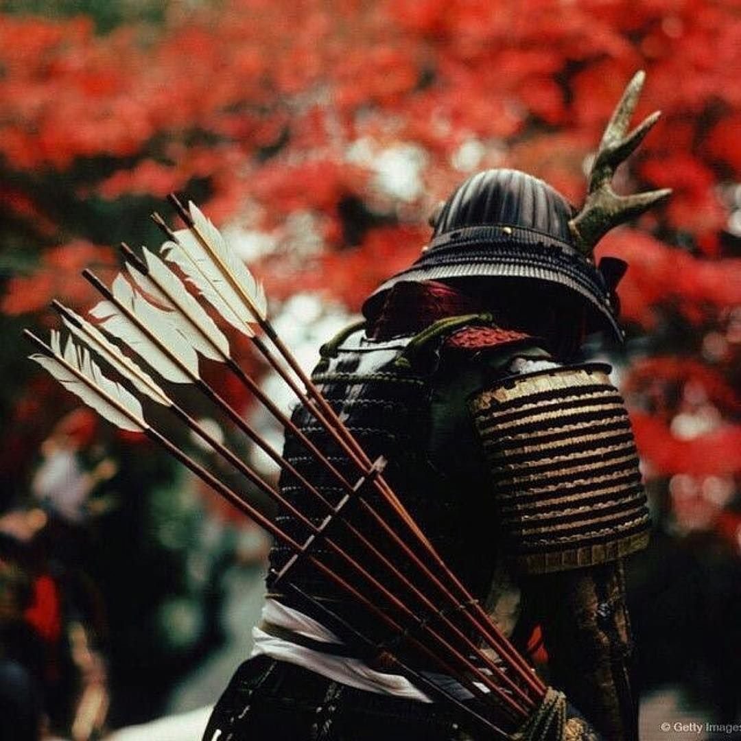 Самурай смешные картинки