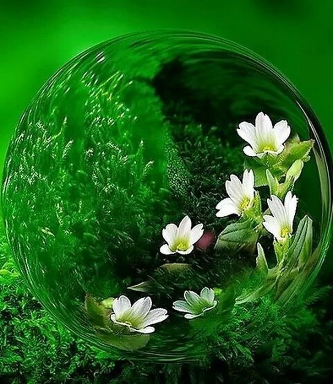 Доброе утро четверга