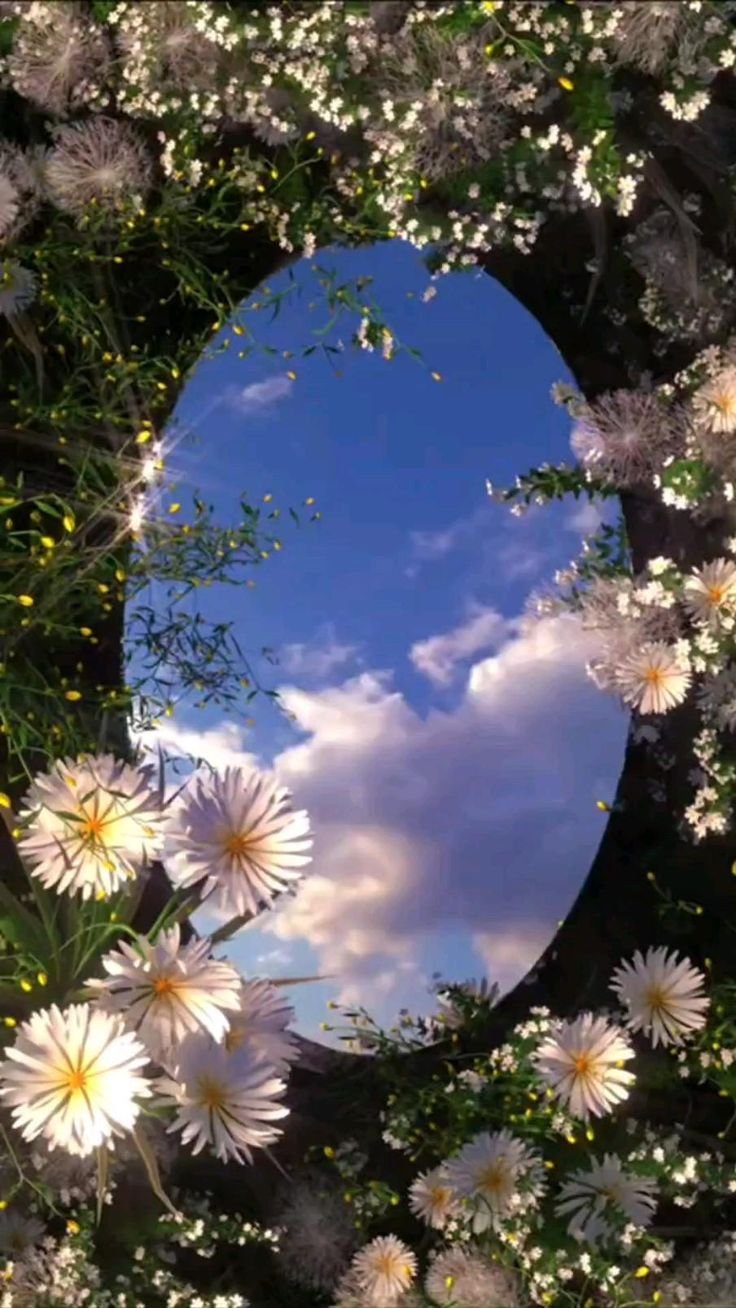 Доброй ночи летом