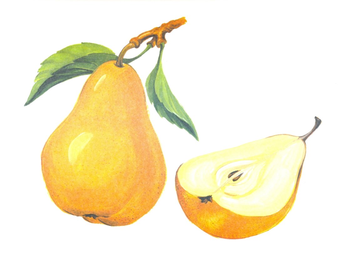 Фрукты для детей