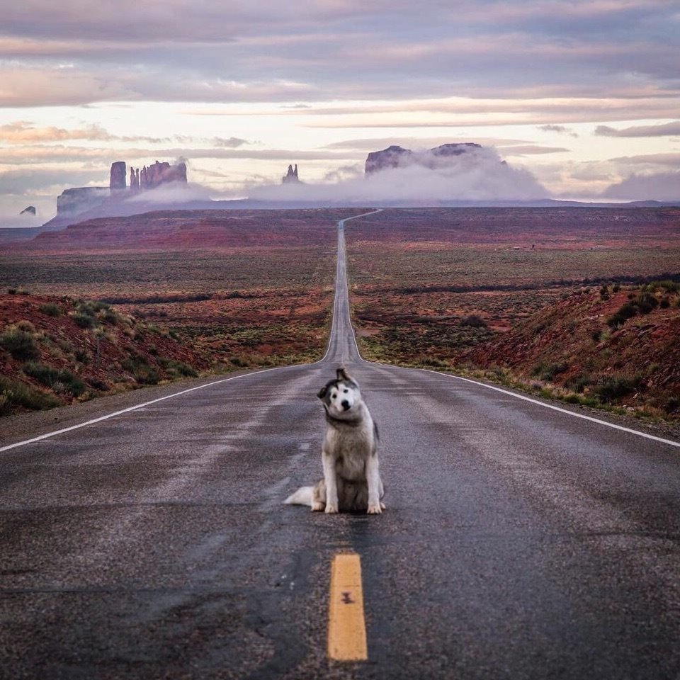 Вдохновляющие фразы