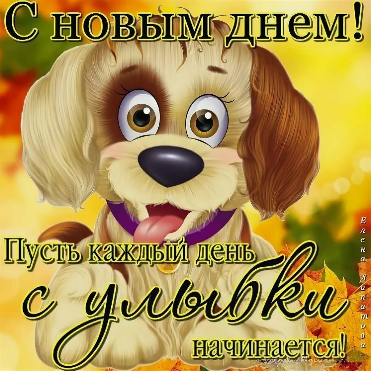 Поздравления без повода прикольные