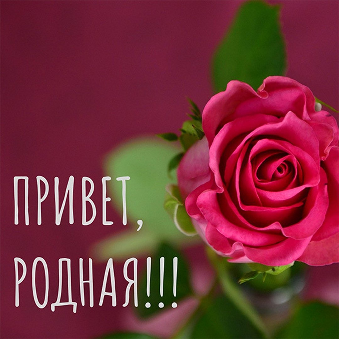 Открытка привет родные