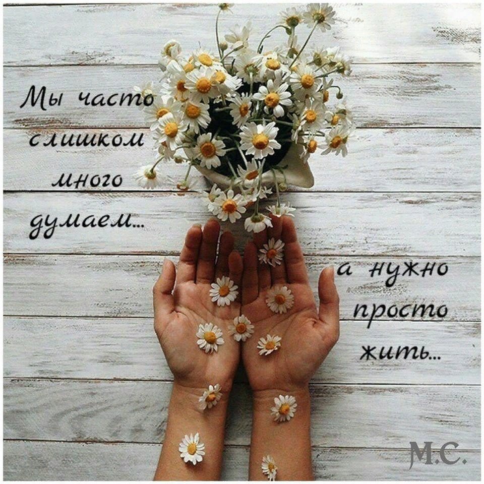 Жить просто жить